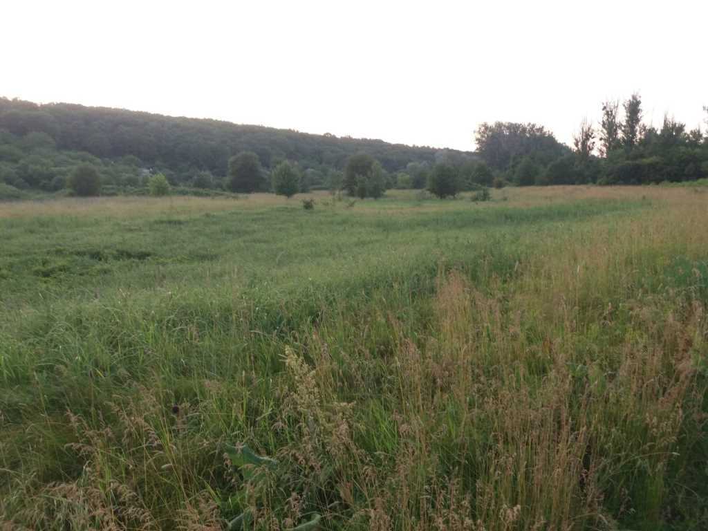 Хочеш побудувати дачу біля річки та не далеко від міста? | Приват житло