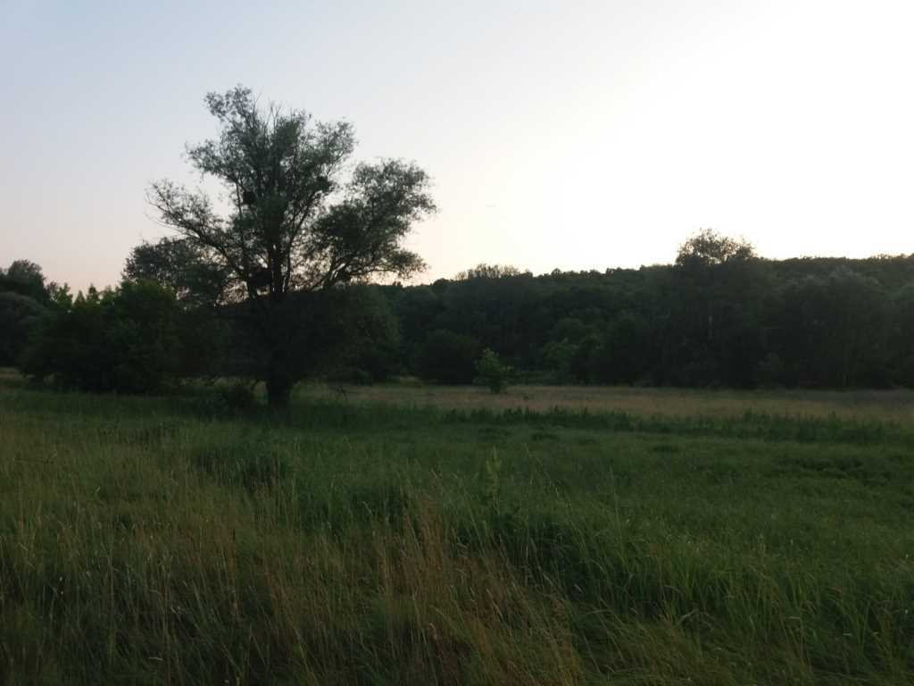 Хочеш побудувати дачу біля річки та не далеко від міста? | Приват житло