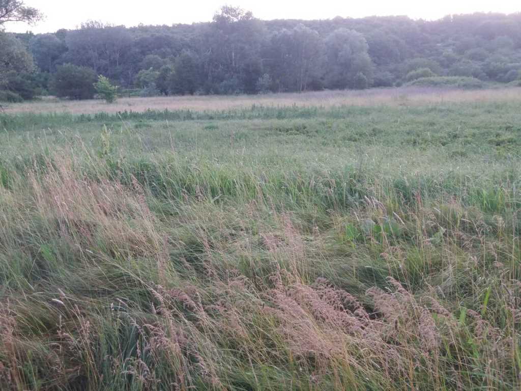 Хочеш побудувати дачу біля річки та не далеко від міста? | Приват житло