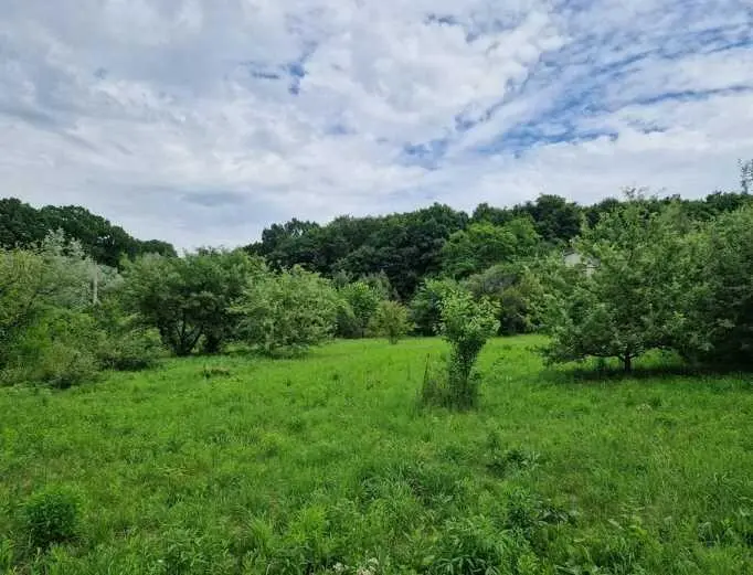 Продаж земельної ділянки в с. Малий Тростянець | Приват житло