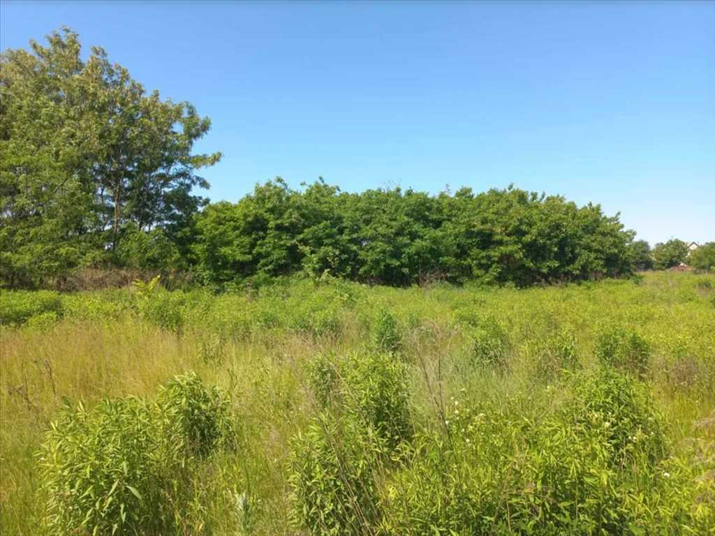 Ділянка на Новоселівка | Приват житло