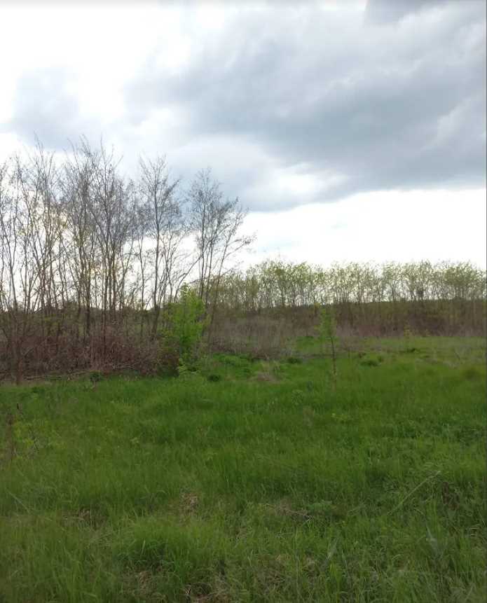 Ділянка на Новоселівка | Приват житло