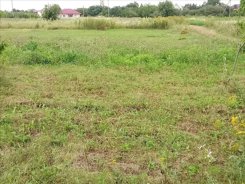 Доглянута ділянка з садом  в Гожулах.  | Приват житло
