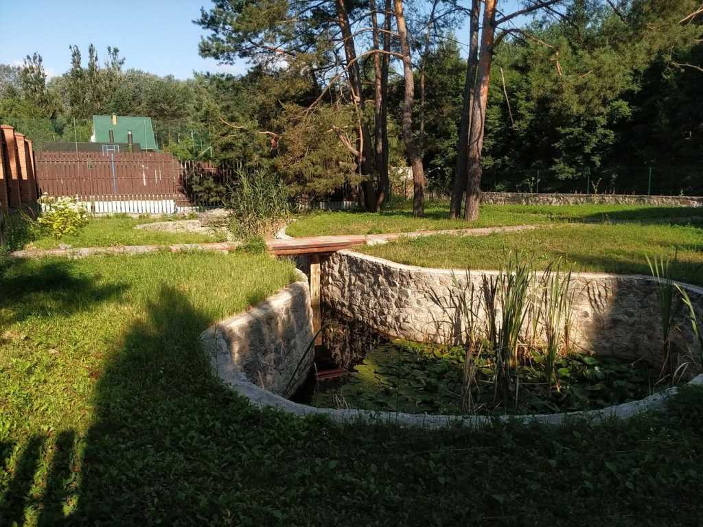 Річка, ліс, тиша та наш будинок! | Приват житло