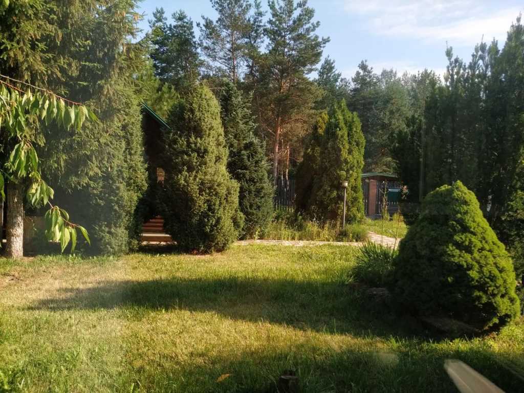 Річка, ліс, тиша та наш будинок! | Приват житло