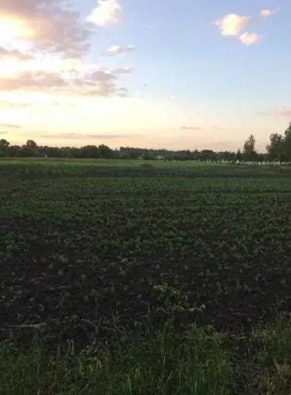 Побудова з земельною ділянкою в Селещині | Приват житло