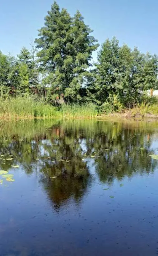 Ділянка з виходом до Коломаку в Затуріно!  | Приват житло