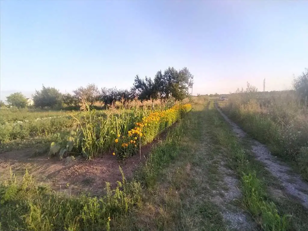 Чудова ділянка під забудову в Шостаках | Приват житло