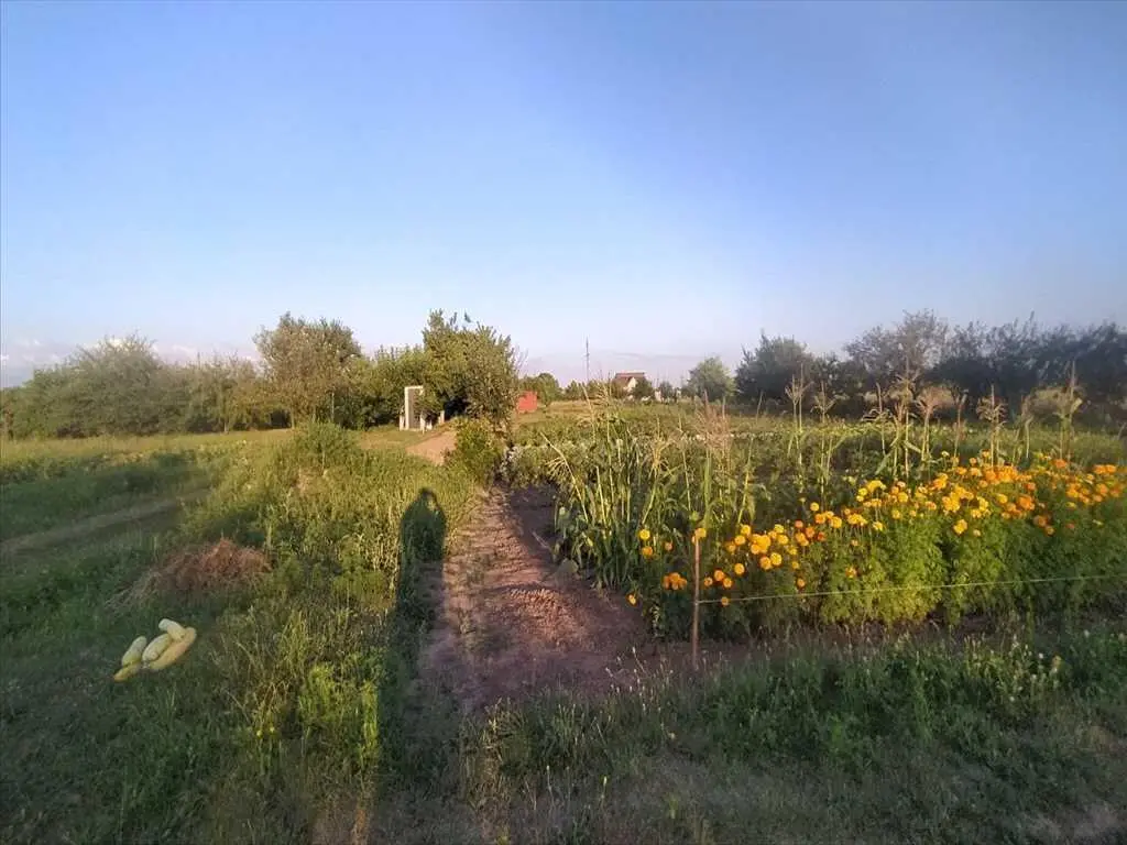 Чудова ділянка під забудову в Шостаках | Приват житло