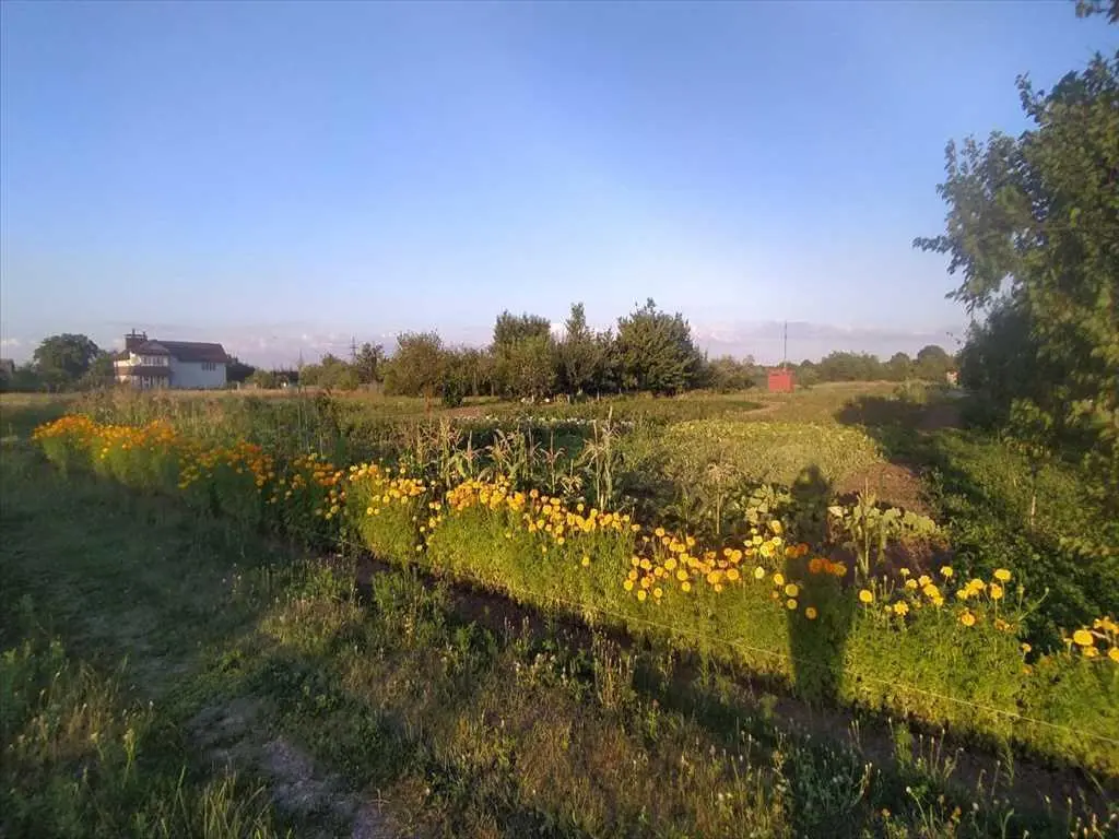 Чудова ділянка під забудову в Шостаках | Приват житло