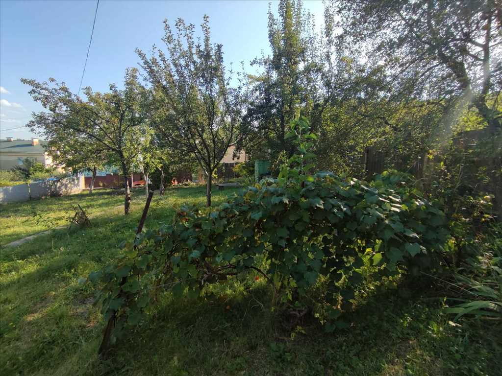 Чудова дача в Патлаївці! | Приват житло