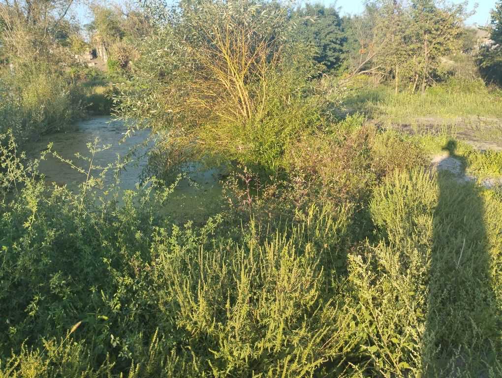 Ділянка з видом на ліс!  | Приват житло