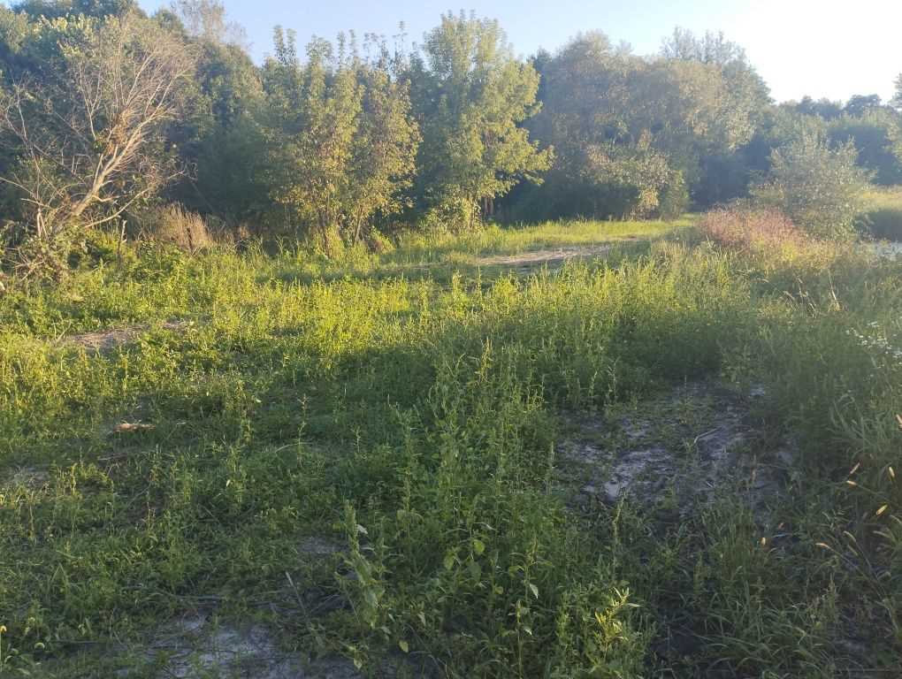 Ділянка з видом на ліс!  | Приват житло