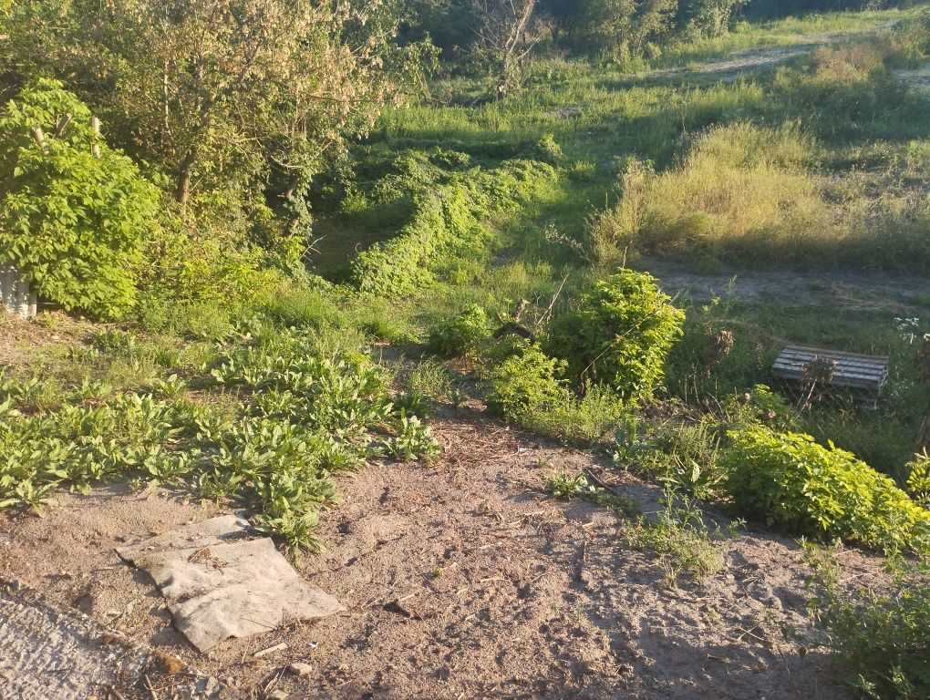 Ділянка з видом на ліс!  | Приват житло