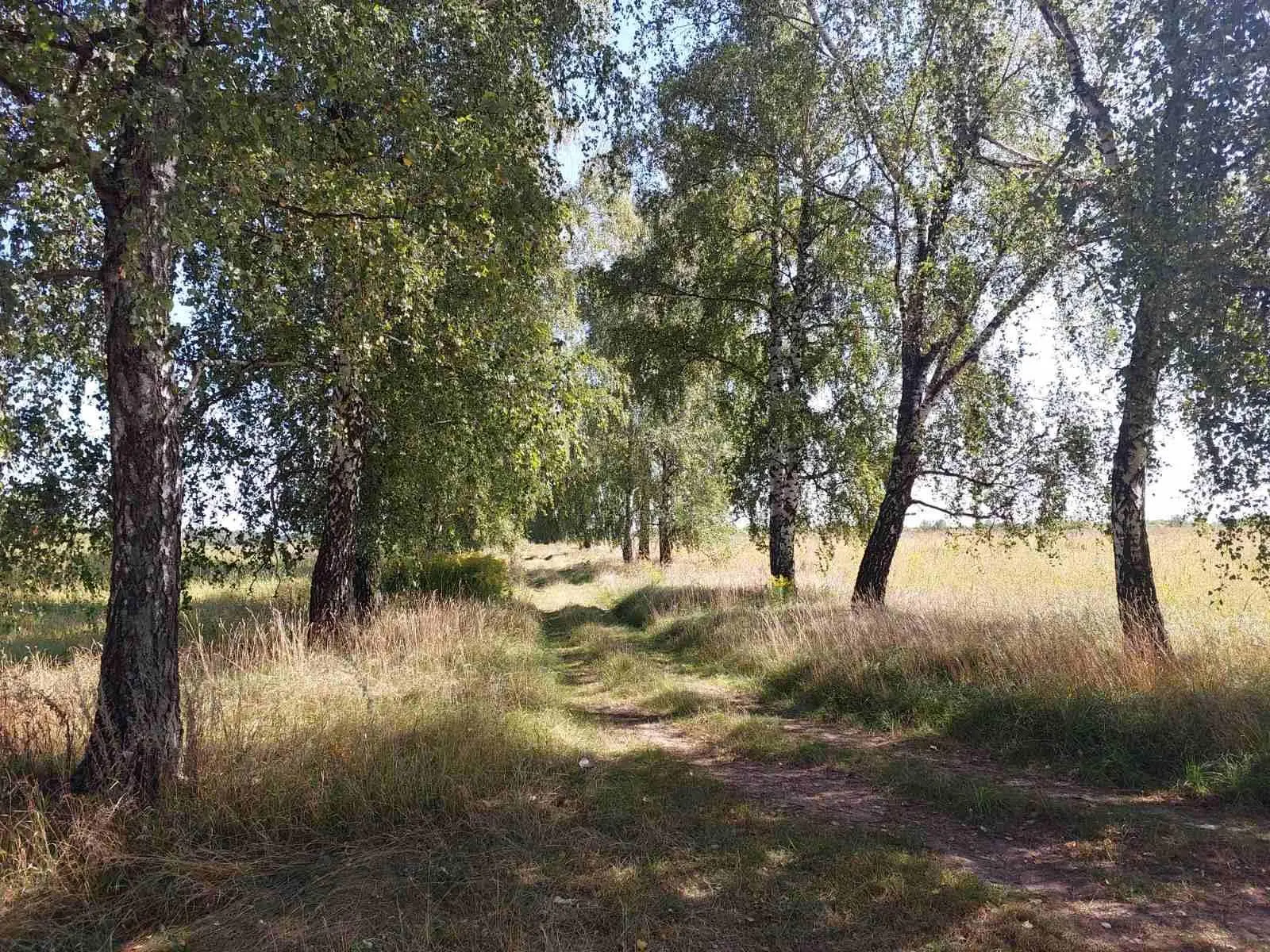 Ділянка під забудову в Тахтаулове | Приват житло
