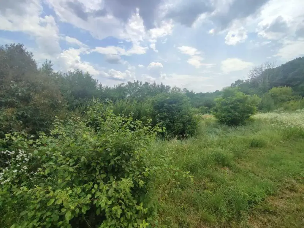 Видова ділянка в Гавронцях!  | Приват житло