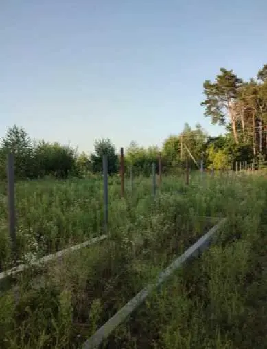 Продаж земельної ділянки для будівництва в передмісті Полтави | Приват житло