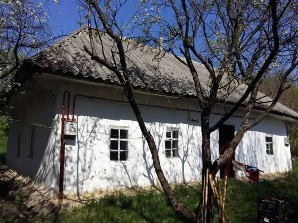 Ділянка в Решетилівському районі | Приват житло