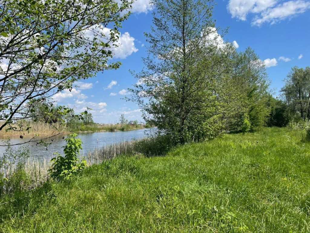 Велика земельна ділянка для бізнесу біля річки та хвойного лісу! | Приват житло