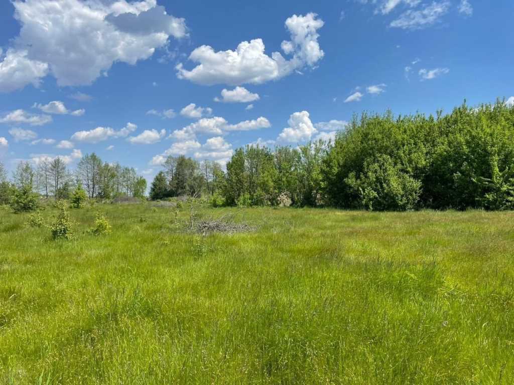 Велика земельна ділянка для бізнесу біля річки та хвойного лісу! | Приват житло