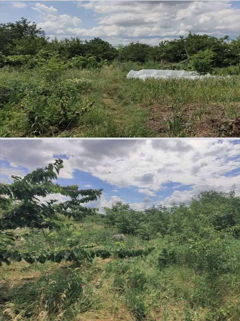 Чудове місце для Вашого будинку!  | Приват житло