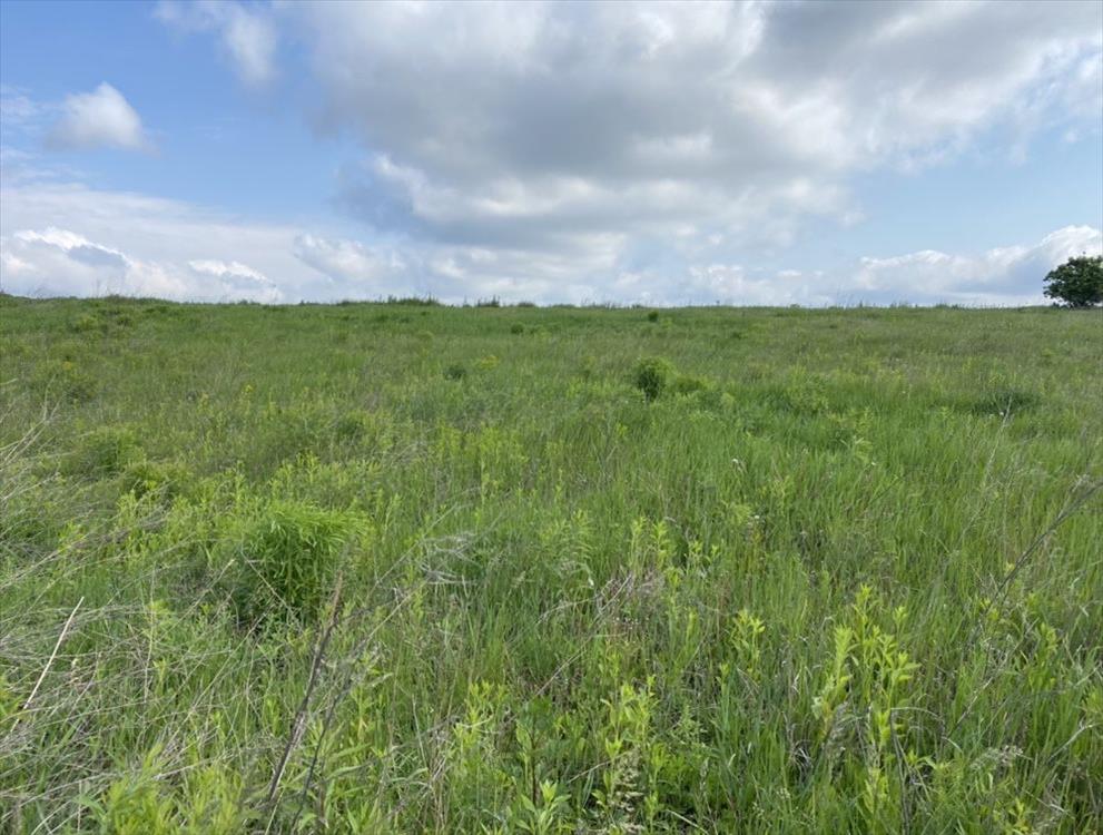 Ділянка в Щербанях  | Приват житло