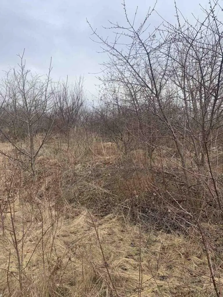  Пропонуємо Вашій увазі  земельну ділянку 20 соток у с. Гора | Приват житло