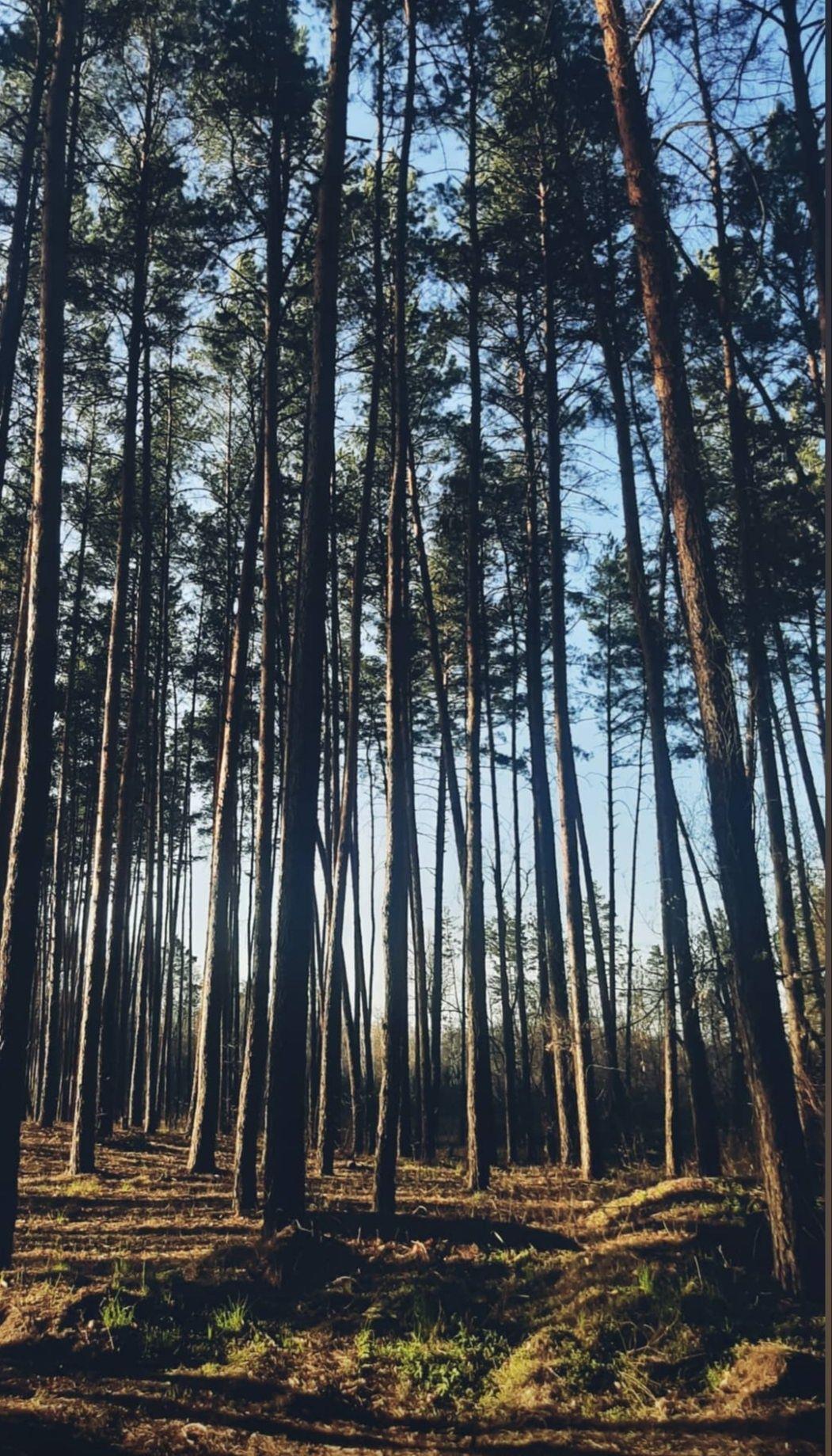 Ділянка в Їжаківці  | Приват житло