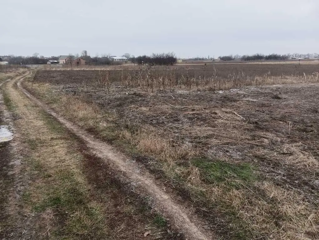 Ділянка під забудову в Гожулах | Приват житло