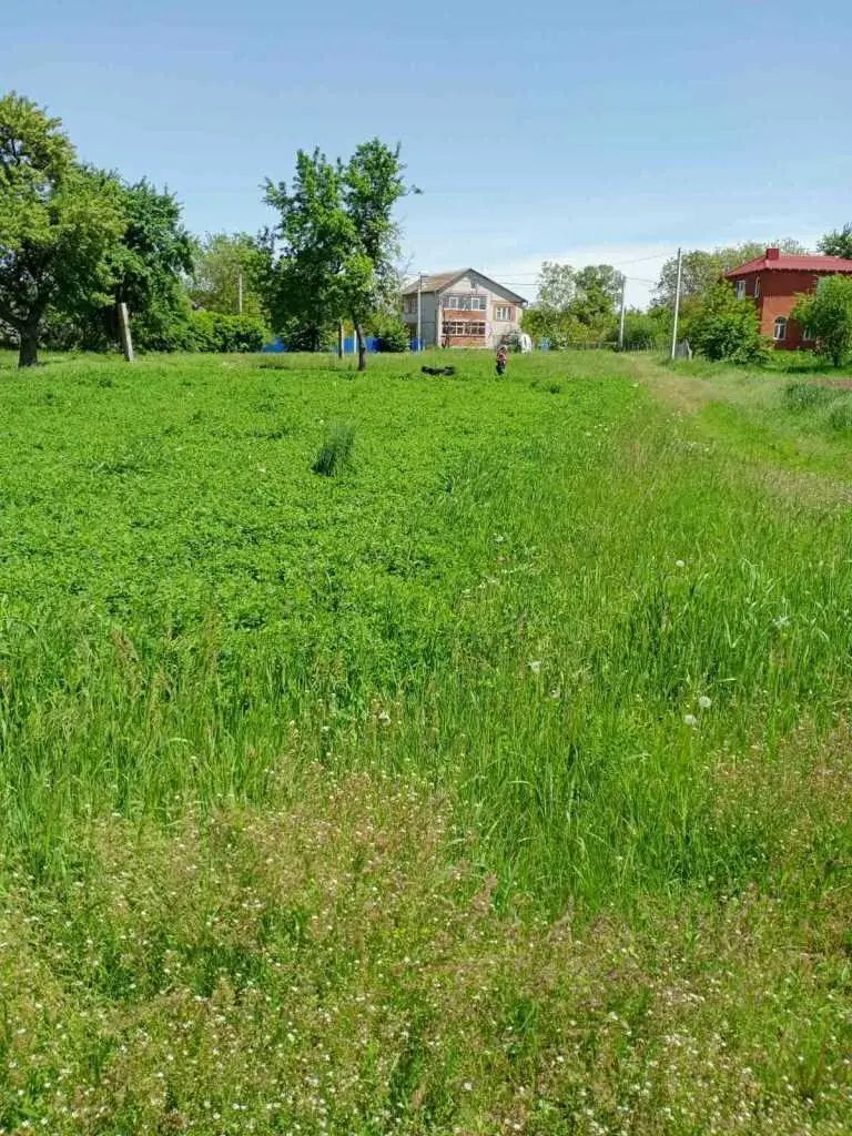  Пропонуємо вашій увазі земельну ділянку  в с. Тахтаулове | Приват житло