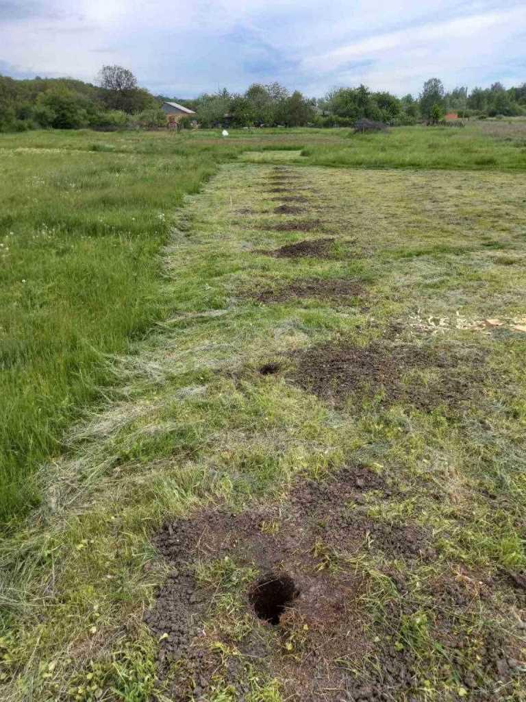 Земельна ділянка у Патлаївці | Приват житло