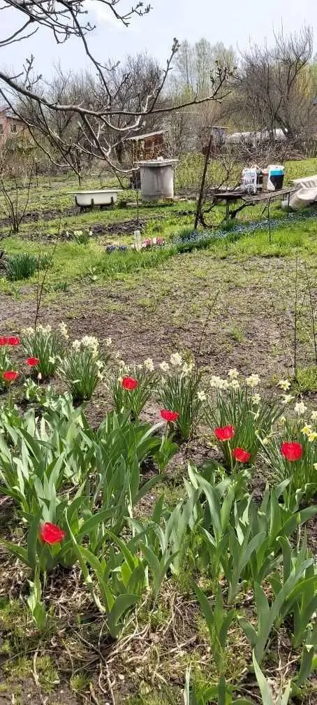 Ділянка для садівництва в Їжаківці | Приват житло
