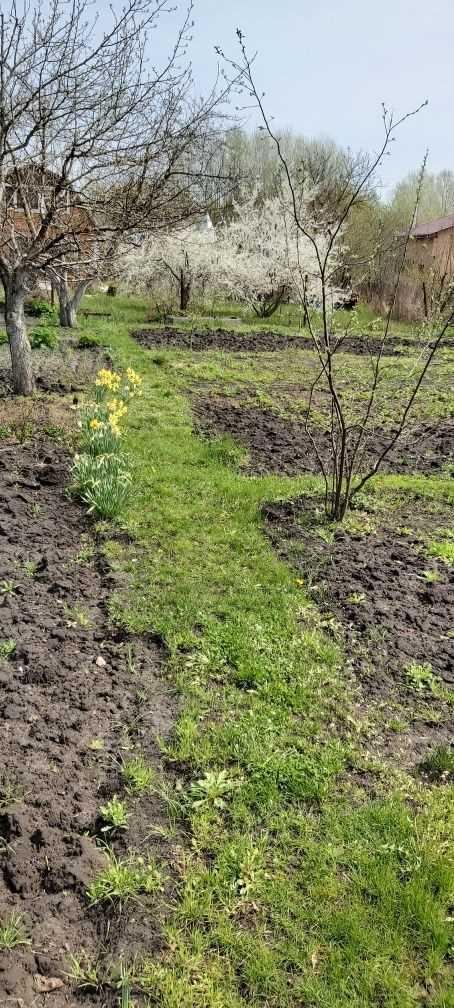 Ділянка для садівництва в Їжаківці | Приват житло