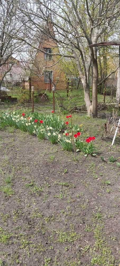 Ділянка для садівництва в Їжаківці | Приват житло