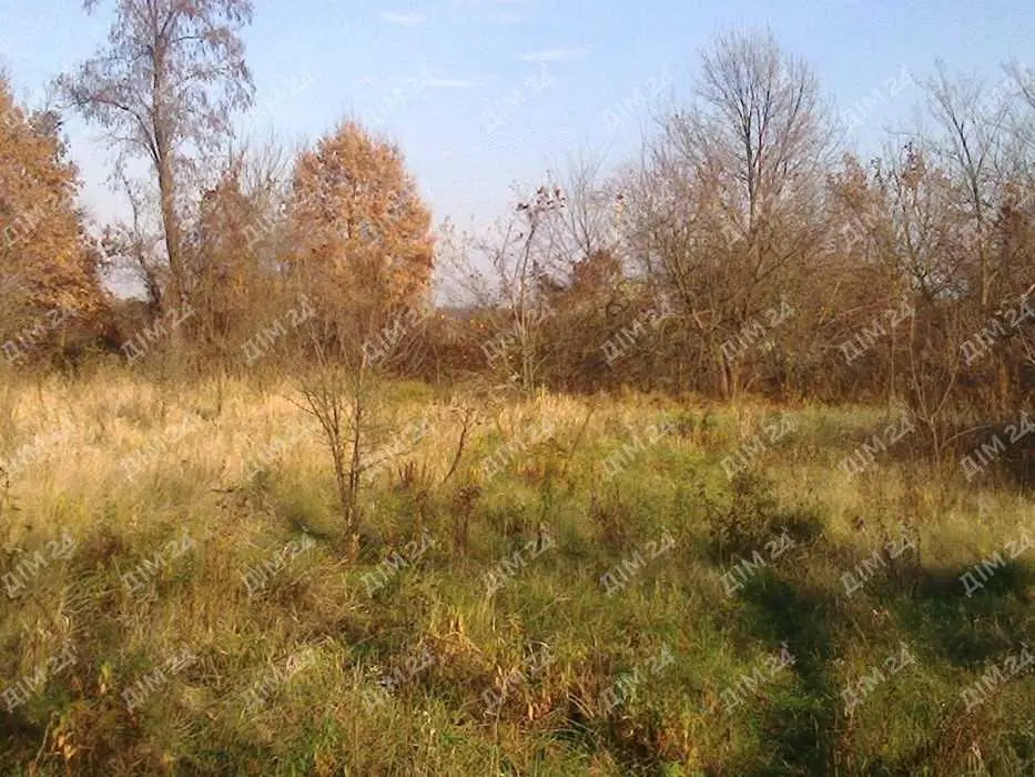 Ділянка у Петрівці, 15 соток, біля річки. | Приват житло