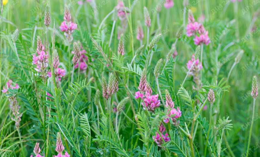 Дачна ділянка на Вороніна! | Приват житло
