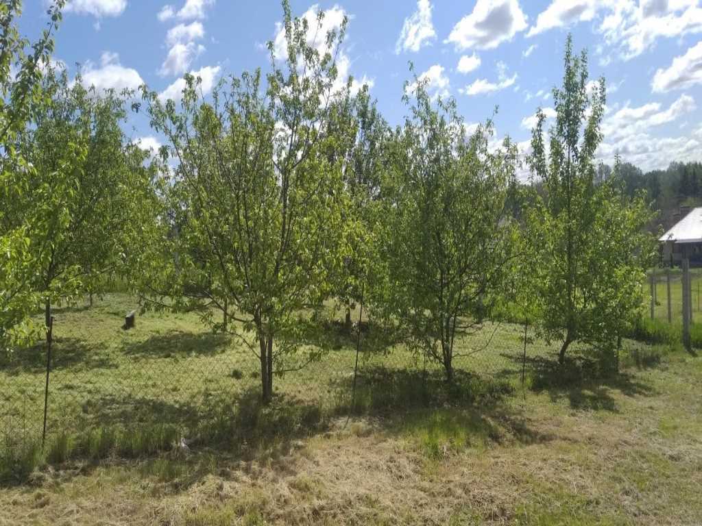 Ділянка в Гавронцях | Приват житло