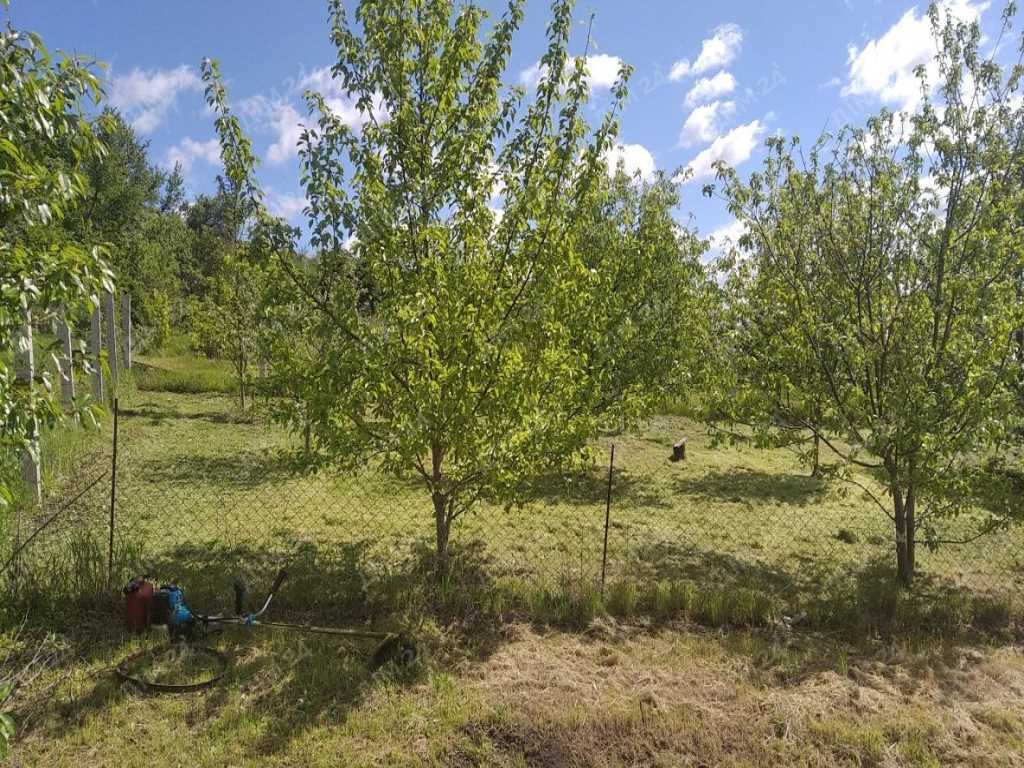 Ділянка в Гавронцях | Приват житло