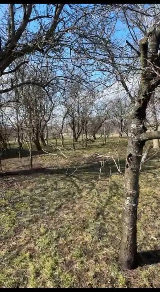 Велика ділянка з будинком в 4 км від міста! | Приват житло
