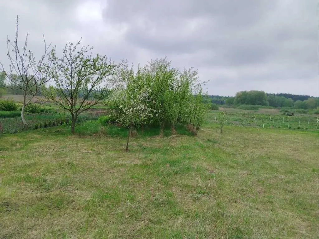 Земельна ділянка під забудову, Марківка | Приват житло