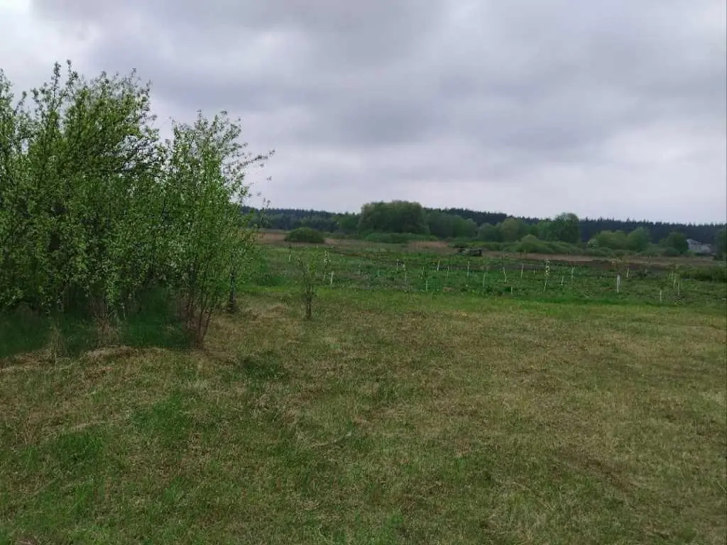 Земельна ділянка під забудову, Марківка | Приват житло