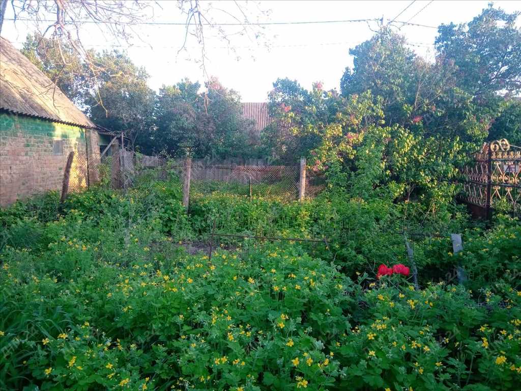 Тахтаулове. Гарна локація для будівництва сучасного будинку.   | Приват житло