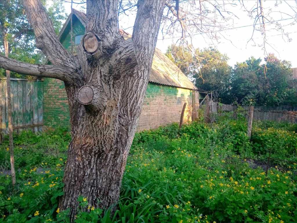 Тахтаулове. Гарна локація для будівництва сучасного будинку.   | Приват житло