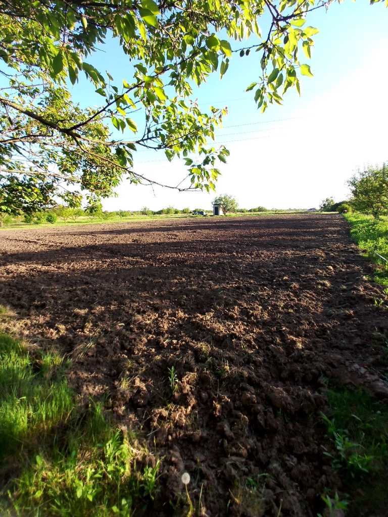 Продаж ділянки в Мачухах  | Приват житло