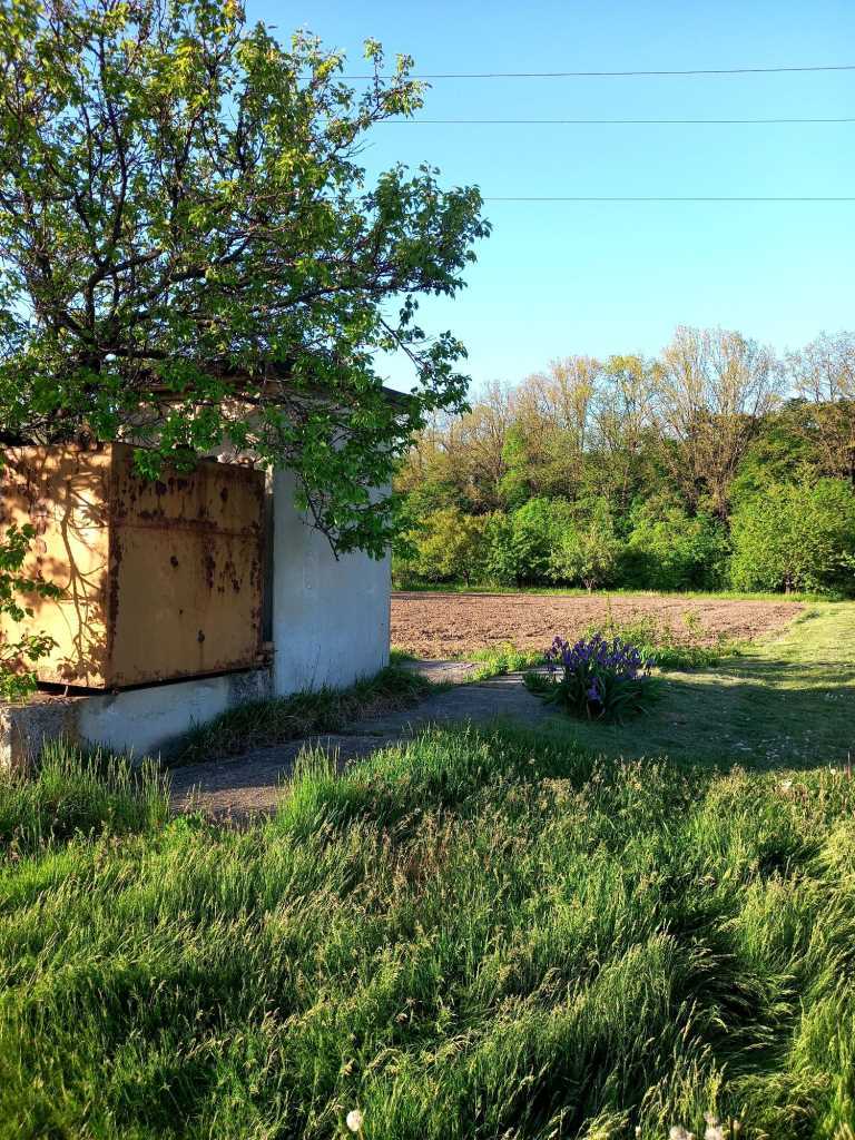 Продаж ділянки в Мачухах  | Приват житло