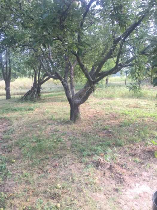 Бюджетний будинок в 4 км від міста. | Приват житло