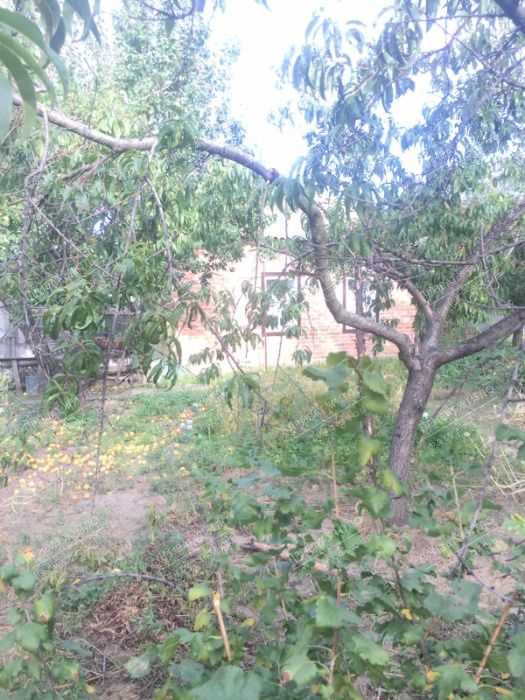 Бюджетний будинок в 4 км від міста. | Приват житло