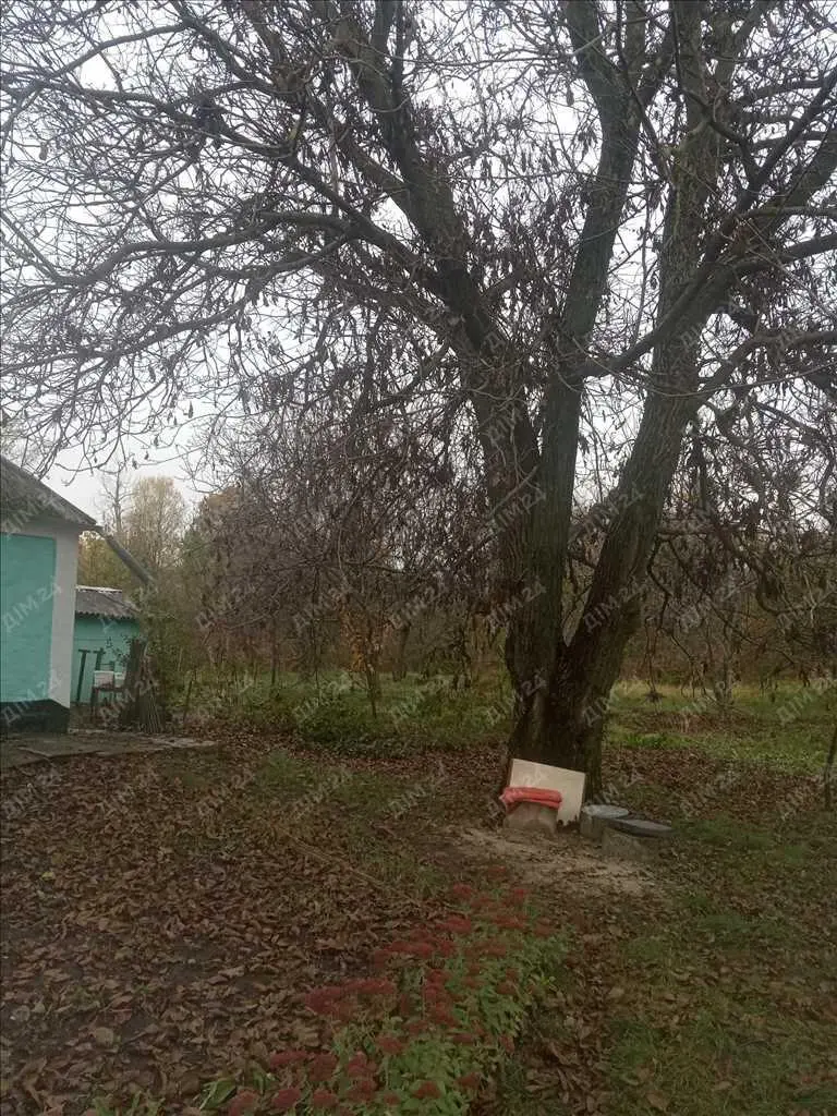 Окремий будинок в передмісті. | Приват житло