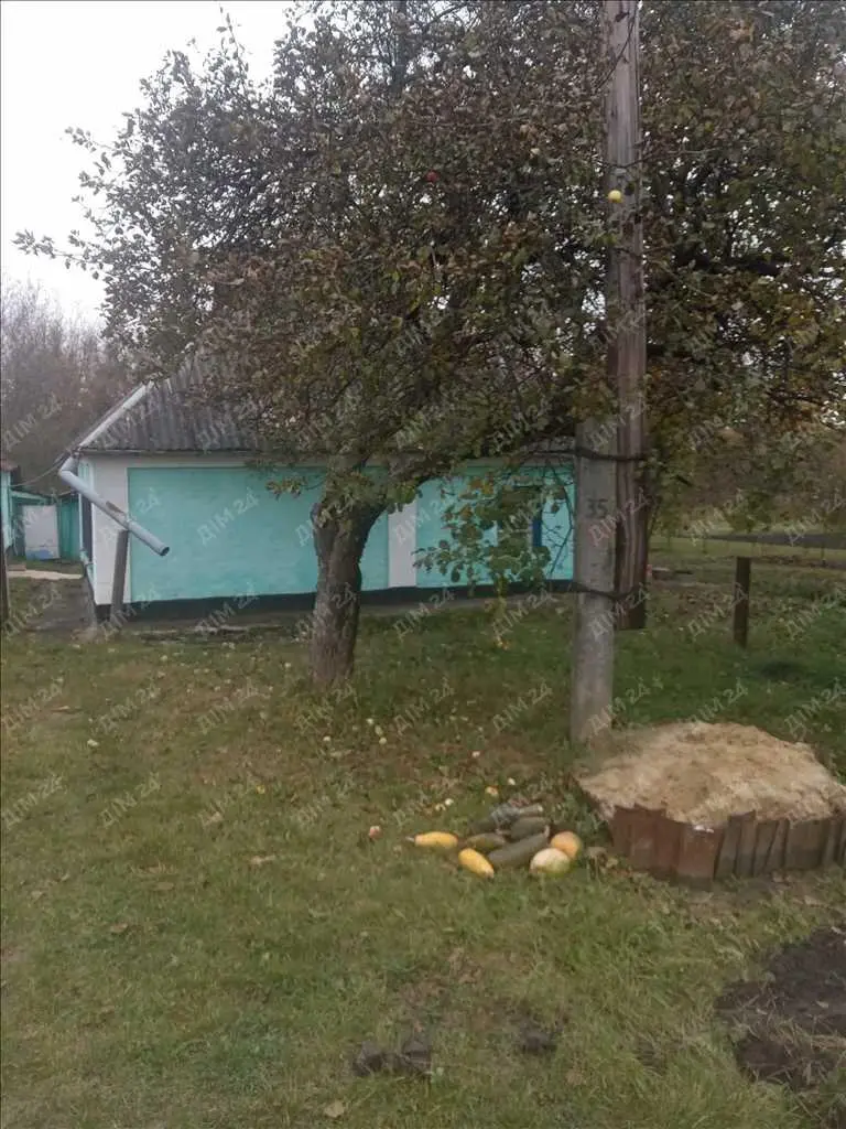 Окремий будинок в передмісті. | Приват житло