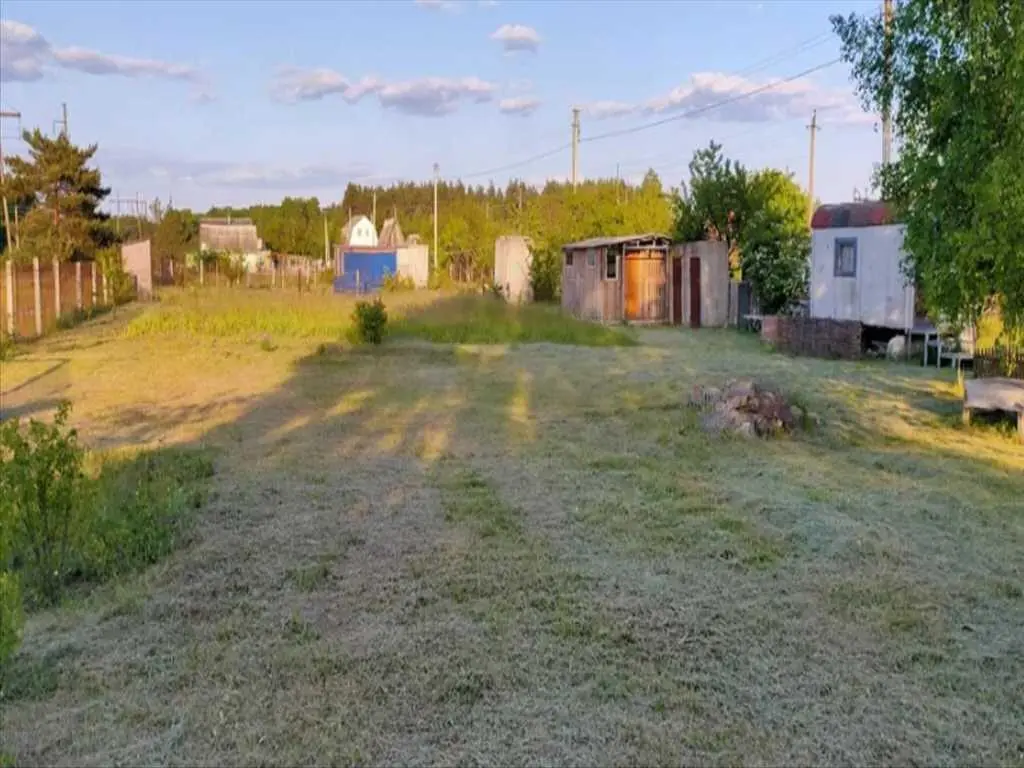 Ділянка в сосновому лісі | Приват житло